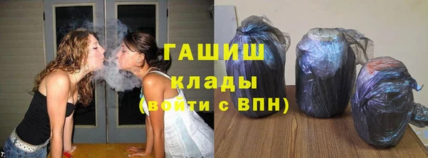 индика Кулебаки