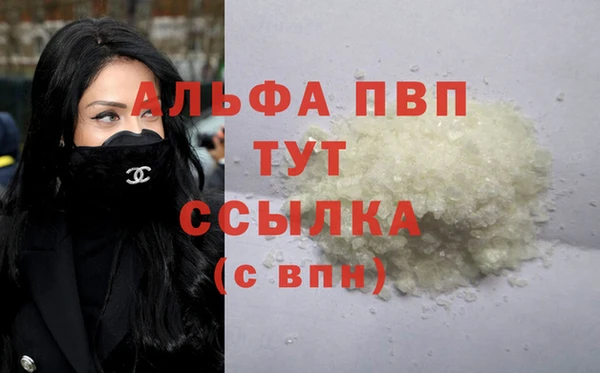 индика Кулебаки