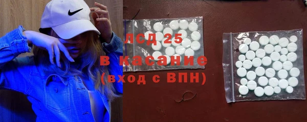 индика Кулебаки
