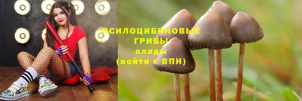 индика Кулебаки