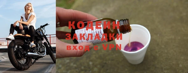 индика Кулебаки