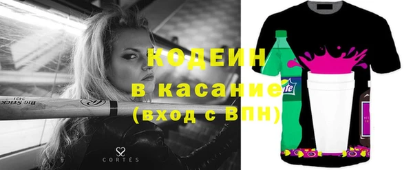 индика Кулебаки
