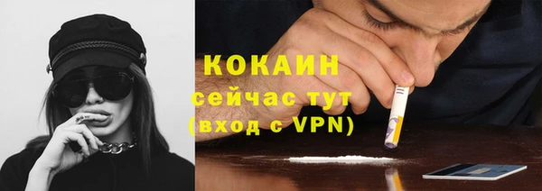 индика Кулебаки