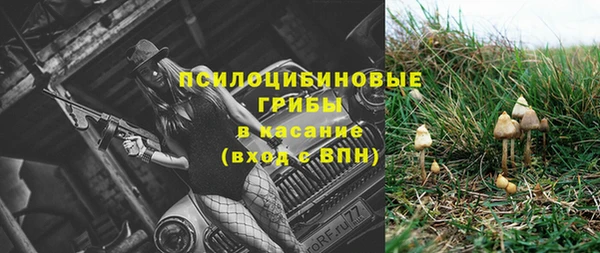 эйфоретик Кукмор