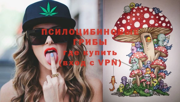 эйфоретик Кукмор