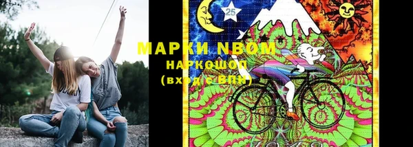 индика Кулебаки