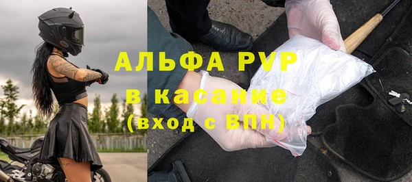 эйфоретик Кукмор
