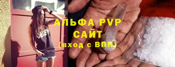 индика Кулебаки