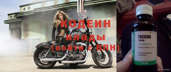 индика Кулебаки