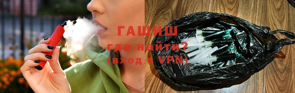 индика Кулебаки