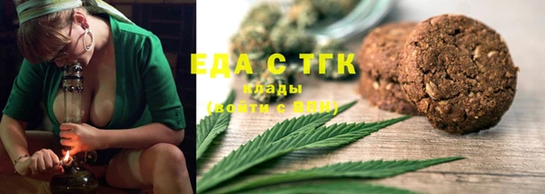 индика Кулебаки